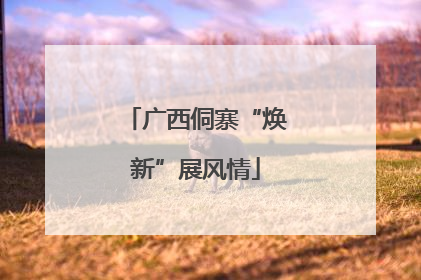 广西侗寨“焕新”展风情