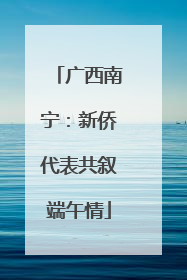 广西南宁：新侨代表共叙端午情