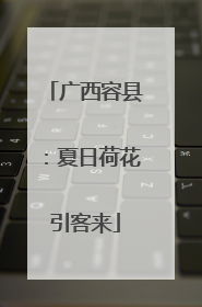 广西容县：夏日荷花引客来
