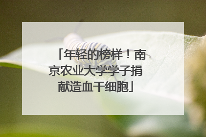 年轻的榜样！南京农业大学学子捐献造血干细胞