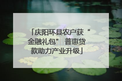 庆阳环县农户获“金融礼包” 普惠贷款助力产业升级