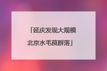 延庆发现大规模北京水毛茛群落