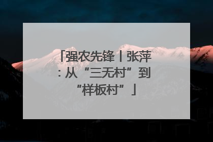 强农先锋丨张萍：从“三无村”到“样板村”