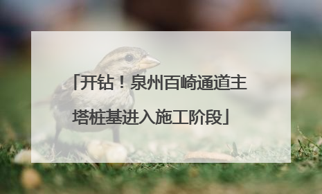 开钻！泉州百崎通道主塔桩基进入施工阶段