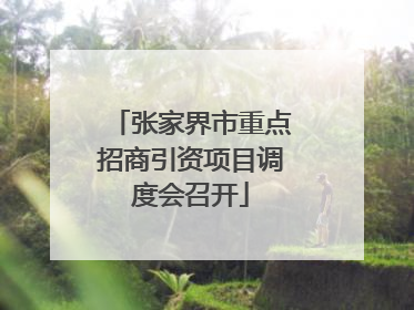 张家界市重点招商引资项目调度会召开