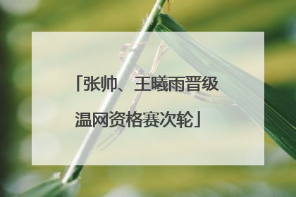 张帅、王曦雨晋级温网资格赛次轮