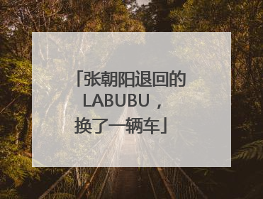 张朝阳退回的LABUBU，换了一辆车