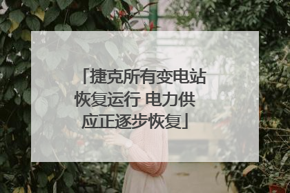 捷克所有变电站恢复运行 电力供应正逐步恢复