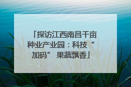 探访江西南昌千亩种业产业园：科技“加码” 果蔬飘香