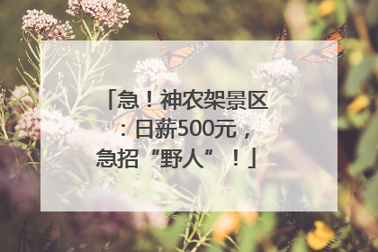 急！神农架景区：日薪500元，急招“野人”！