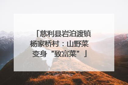 慈利县岩泊渡镇杨家桥村：山野菜变身“致富菜”