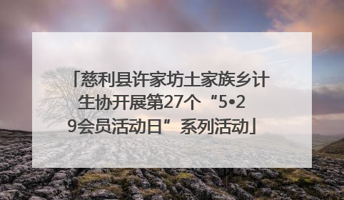 慈利县许家坊土家族乡计生协开展第27个“5•29会员活动日”系列活动