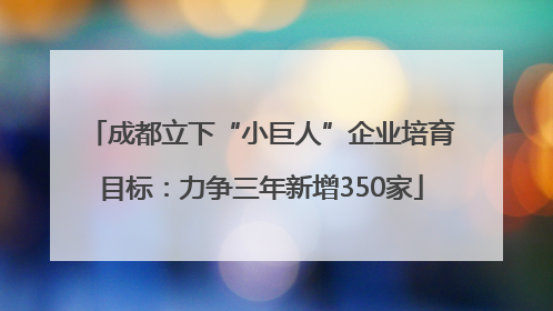 成都立下“小巨人”企业培育目标：力争三年新增350家
