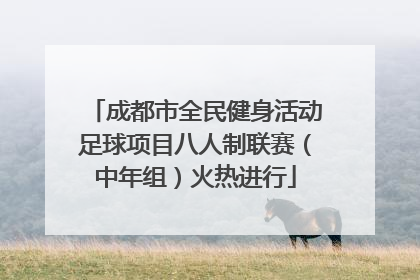 成都市全民健身活动足球项目八人制联赛（中年组）火热进行