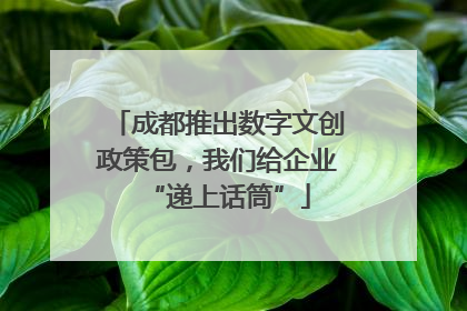 成都推出数字文创政策包，我们给企业“递上话筒”