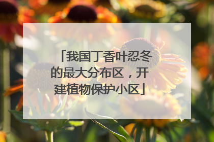 我国丁香叶忍冬的最大分布区，开建植物保护小区
