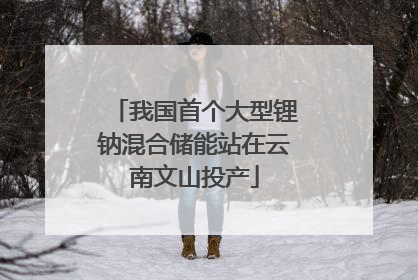 我国首个大型锂钠混合储能站在云南文山投产