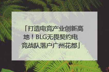 打造电竞产业创新高地！BLG无畏契约电竞战队落户广州花都