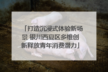 打造沉浸式体验新场景 银川西夏区多维创新释放青年消费潜力