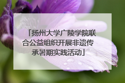 扬州大学广陵学院联合公益组织开展非遗传承暑期实践活动