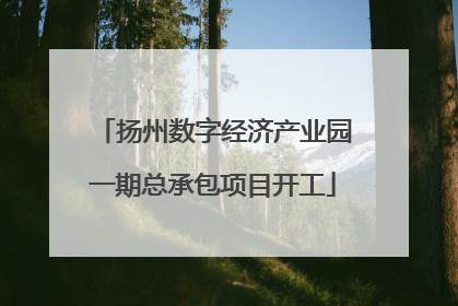 扬州数字经济产业园一期总承包项目开工