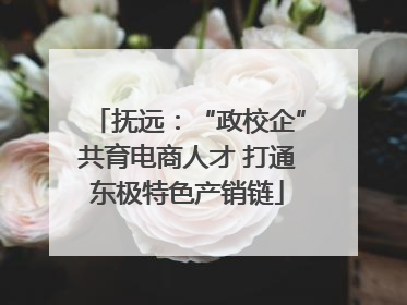 抚远：“政校企”共育电商人才 打通东极特色产销链