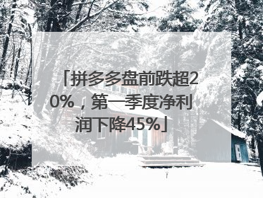 拼多多盘前跌超20%，第一季度净利润下降45%