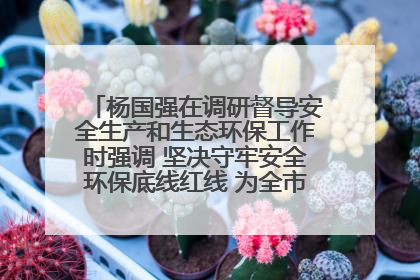 杨国强在调研督导安全生产和生态环保工作时强调 坚决守牢安全环保底线红线 为全市经济社会高质量发展提供坚强保障