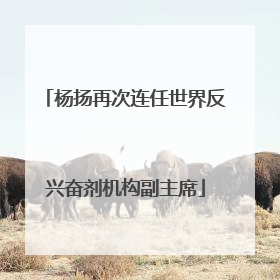 杨扬再次连任世界反兴奋剂机构副主席