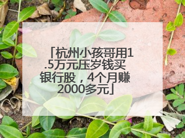 杭州小孩哥用1.5万元压岁钱买银行股，4个月赚2000多元