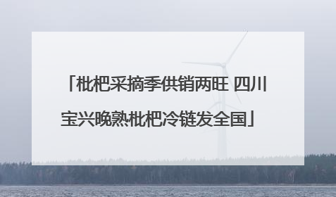 枇杷采摘季供销两旺 四川宝兴晚熟枇杷冷链发全国