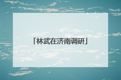 林武在济南调研