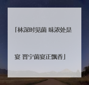 林深时见菌 味浓处是宴 晋宁菌宴正飘香