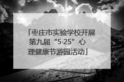 枣庄市实验学校开展第九届“5·25”心理健康节游园活动