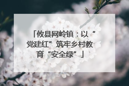 攸县网岭镇：以“党建红”筑牢乡村教育“安全绿”