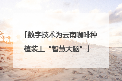 数字技术为云南咖啡种植装上“智慧大脑”
