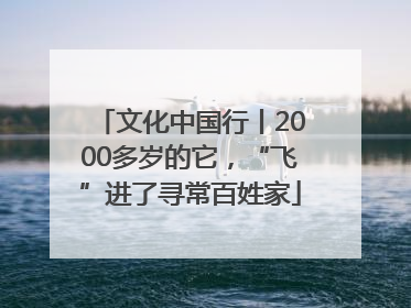 文化中国行丨2000多岁的它，“飞”进了寻常百姓家