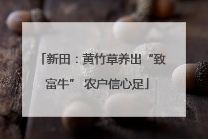 新田：黄竹草养出“致富牛” 农户信心足