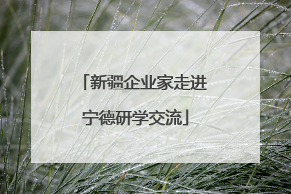 新疆企业家走进宁德研学交流