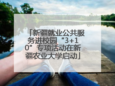 新疆就业公共服务进校园“3+10”专项活动在新疆农业大学启动