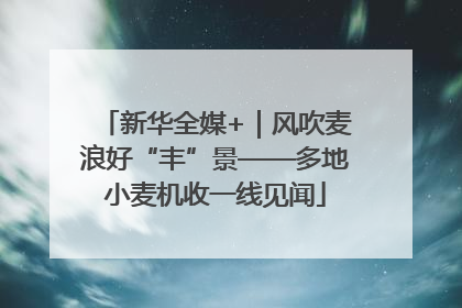新华全媒+｜风吹麦浪好“丰”景——多地小麦机收一线见闻
