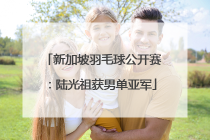 新加坡羽毛球公开赛：陆光祖获男单亚军