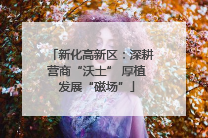 新化高新区：深耕营商“沃土” 厚植发展“磁场”