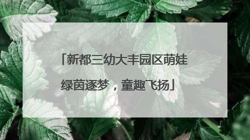 新都三幼大丰园区萌娃绿茵逐梦，童趣飞扬