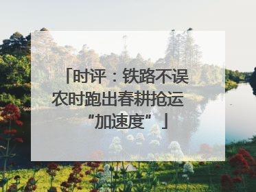 时评：铁路不误农时跑出春耕抢运“加速度”