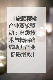 旅顺樱桃产业双轮驱动：套袋技术与精品路线助力产业提质增效