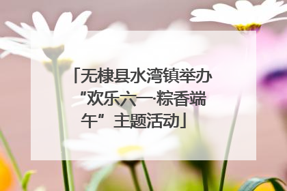 无棣县水湾镇举办“欢乐六一·粽香端午”主题活动