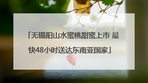 无锡阳山水蜜桃甜蜜上市 最快48小时送达东南亚国家