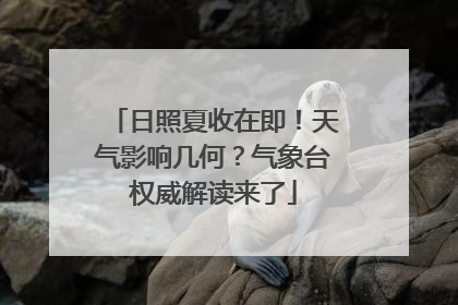 日照夏收在即！天气影响几何？气象台权威解读来了