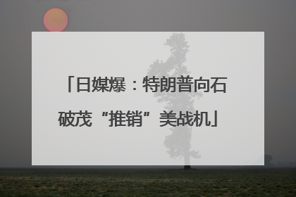 日媒爆：特朗普向石破茂“推销”美战机